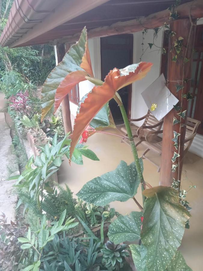 Supipi Homestay เอลลา ภายนอก รูปภาพ