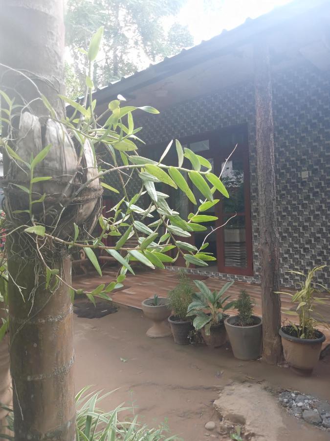 Supipi Homestay เอลลา ภายนอก รูปภาพ