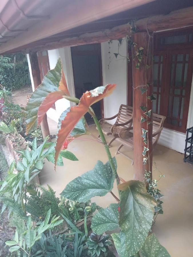 Supipi Homestay เอลลา ภายนอก รูปภาพ