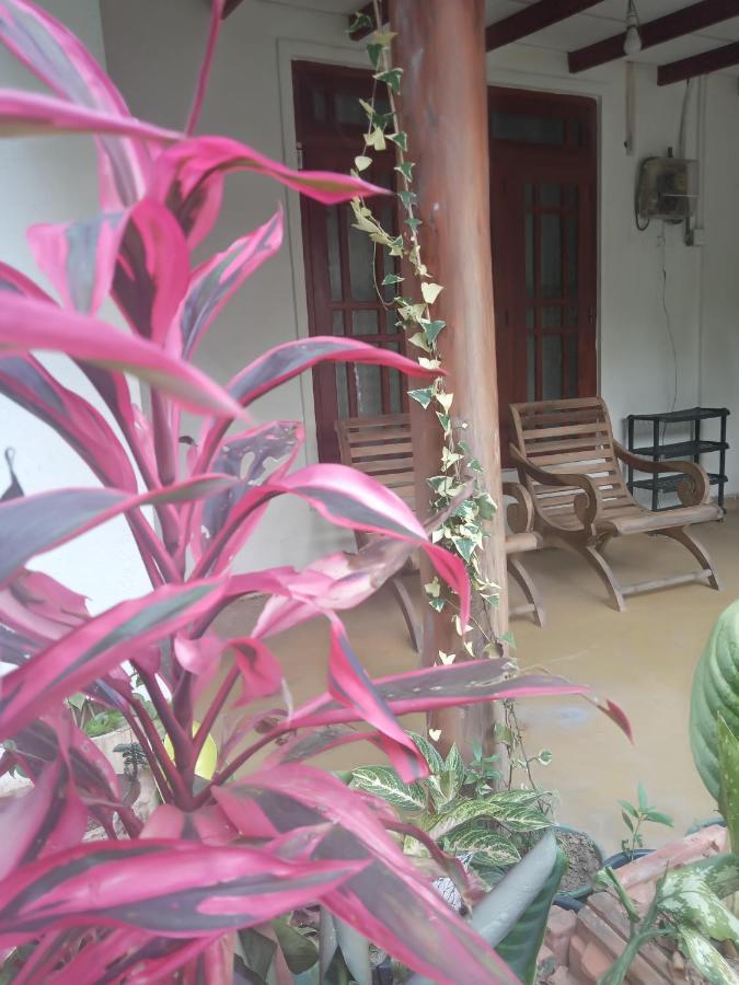 Supipi Homestay เอลลา ภายนอก รูปภาพ